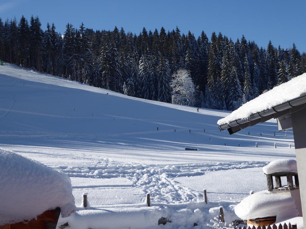Appartamento Birnhornblick Leogang Esterno foto