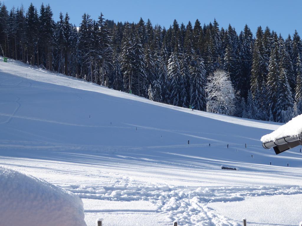 Appartamento Birnhornblick Leogang Esterno foto